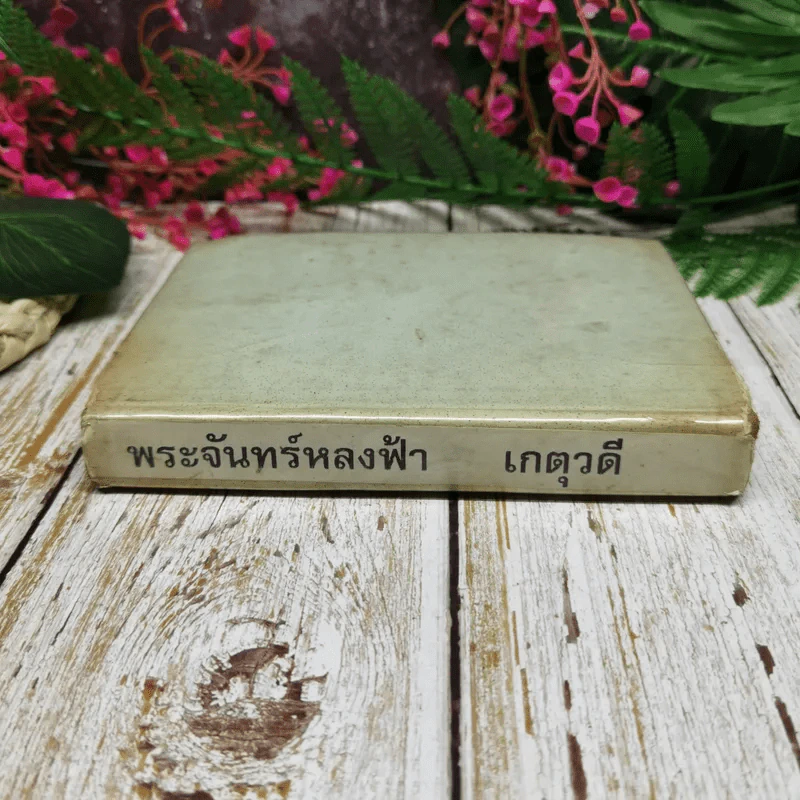 พระจันทร์หลงฟ้า - เกตุวดี รูปที่ 2