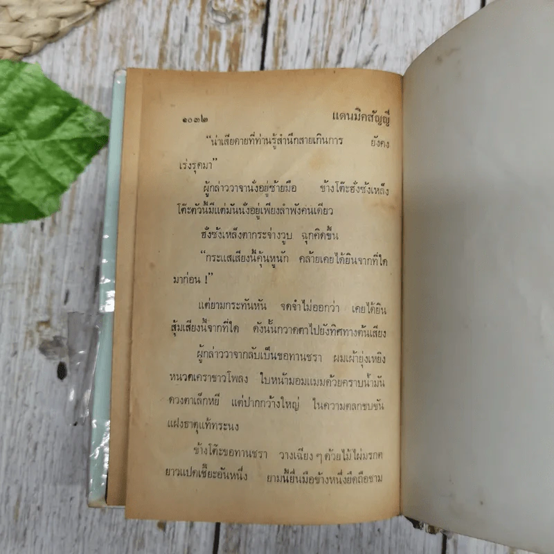 แดนมิคสัญญี เล่ม 1-3 - น.นพรัตน์ รูปที่ 13
