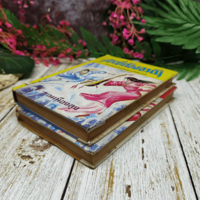 กระบี่ก้องธรณี เล่ม 1-2 - ว.ณ เมืองลุง รูปที่ 4