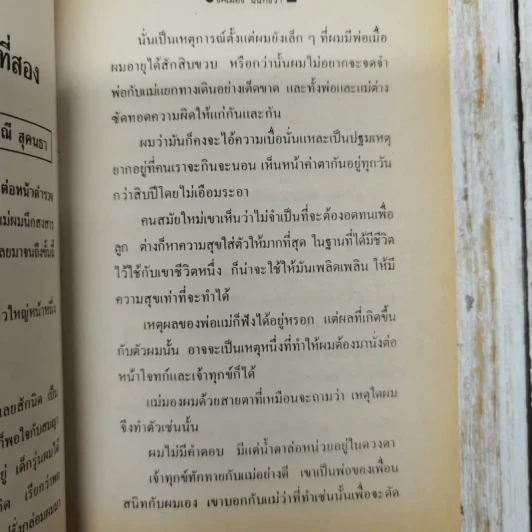 เรื่องของน้ำพุ - วงศ์เมือง นันทขว้าง รูปที่ 9