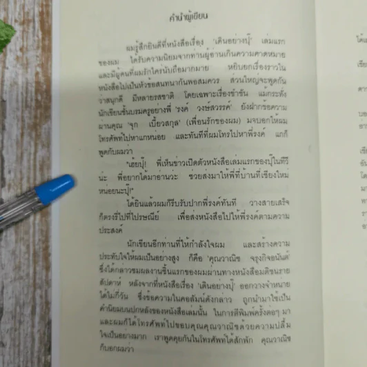 เสื้อลายขวางกับหนังสือเดินทาง 1/2 เล่ม (เดินอย่างปุ๊ 2) รูปที่ 6