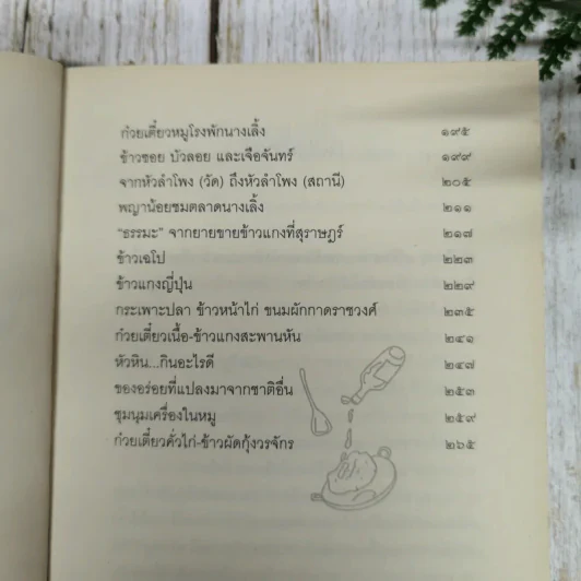 เดินดินกินข้าวแกง - วิษณุ เครืองาม รูปที่ 7