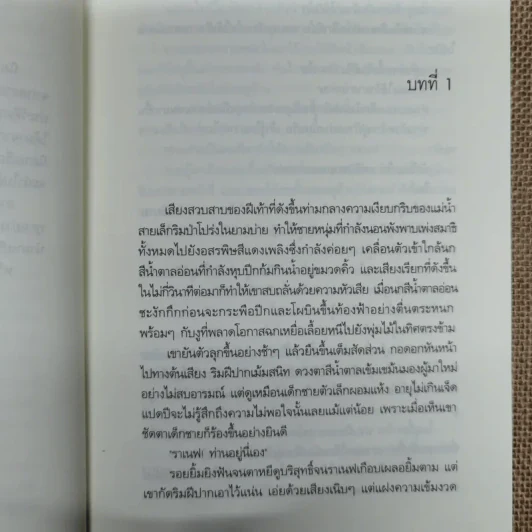 สุดผืนทรายปลายฝั่งฟ้า รูปที่ 8