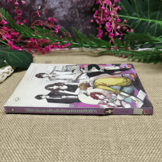 White Romeo หล่อเหลือร้ายคุณชายจอมเจ้าเล่ห์ เล่ม 2 รูปที่ 3