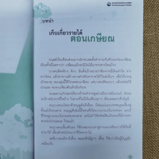 ทุ่งดอกเบี้ย รูปที่ 8