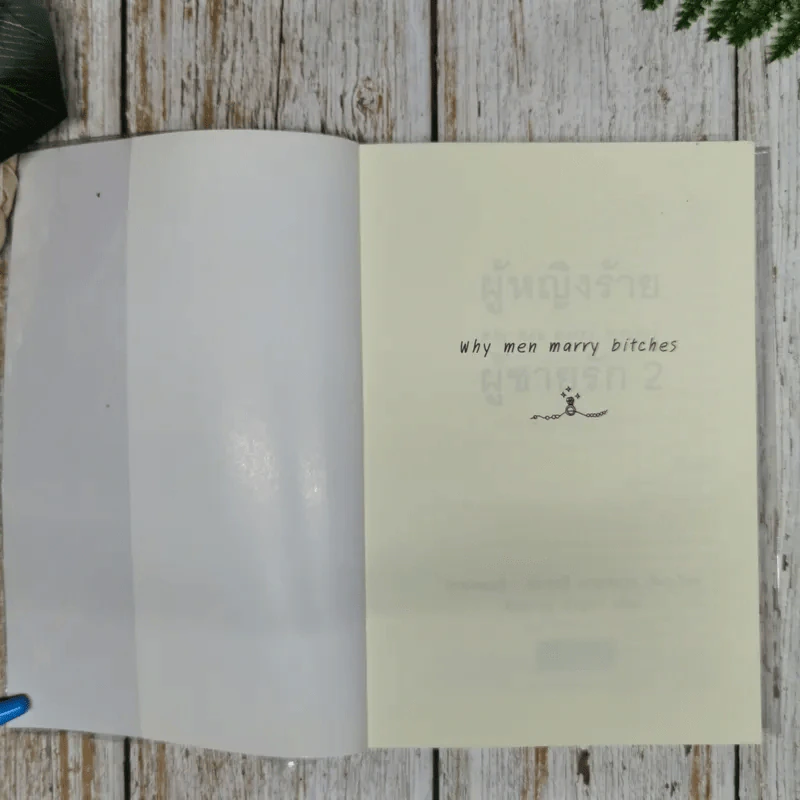 ผู้หญิงร้ายผู้ชายรัก เล่ม 1-2 รูปที่ 12
