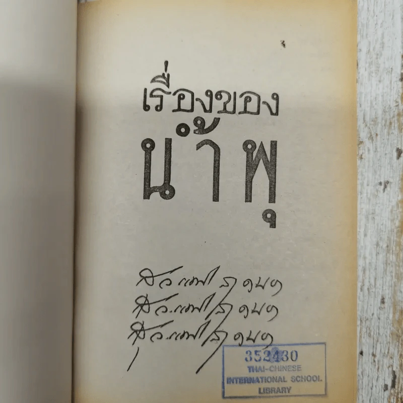 เรื่องของน้ำพุ - วงศ์เมือง นันทขว้าง รูปที่ 5