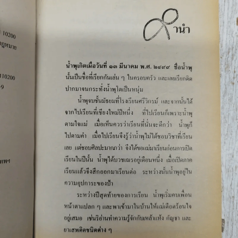 เรื่องของน้ำพุ - วงศ์เมือง นันทขว้าง รูปที่ 7