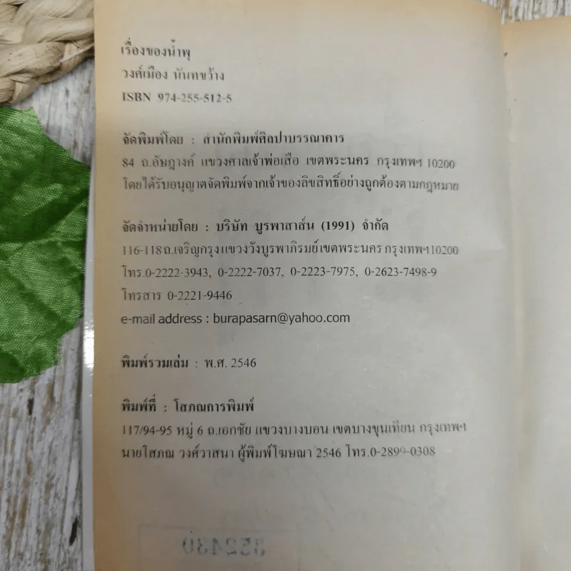 เรื่องของน้ำพุ - วงศ์เมือง นันทขว้าง รูปที่ 6