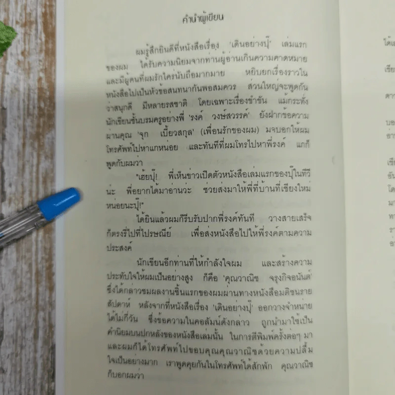 เสื้อลายขวางกับหนังสือเดินทาง 1/2 เล่ม (เดินอย่างปุ๊ 2) รูปที่ 6