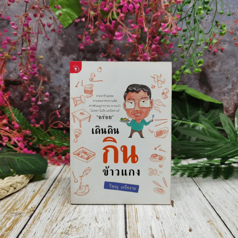 เดินดินกินข้าวแกง - วิษณุ เครืองาม รูปที่ 1