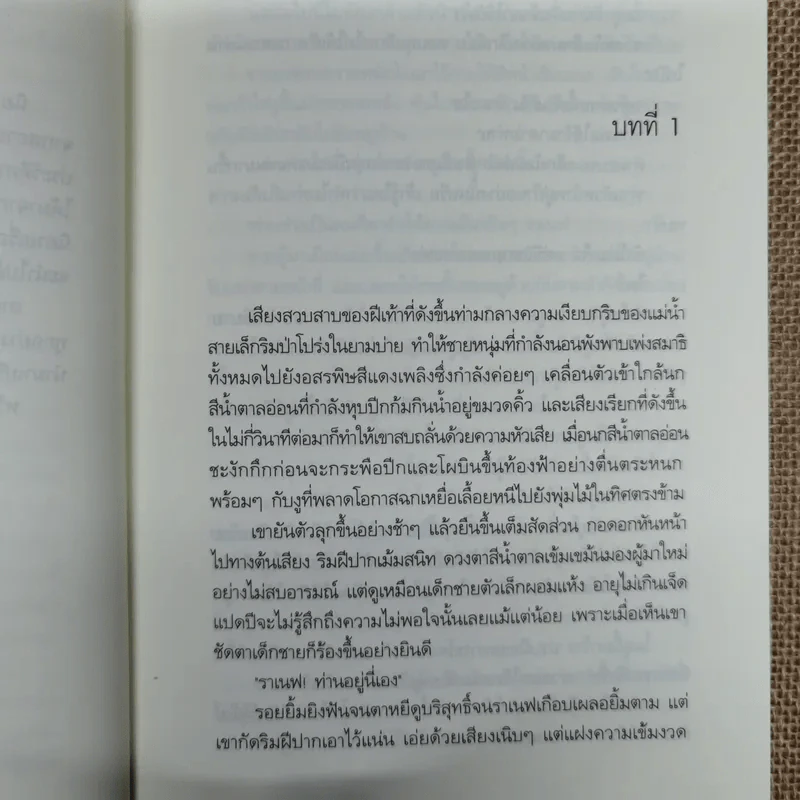 สุดผืนทรายปลายฝั่งฟ้า รูปที่ 8