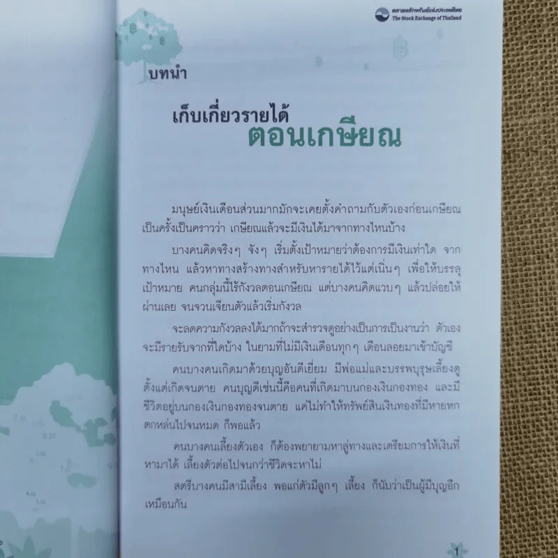 ทุ่งดอกเบี้ย รูปที่ 8