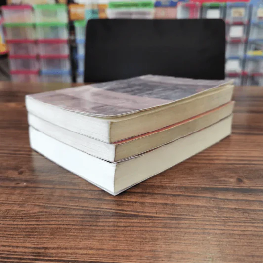 นิยายรัก 3 เล่ม 100 บาท ชุดที่ 4 รูปที่ 3