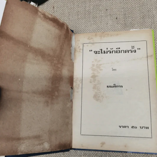 จะไม่รักอีกครั้ง - มนสิการ รูปที่ 5