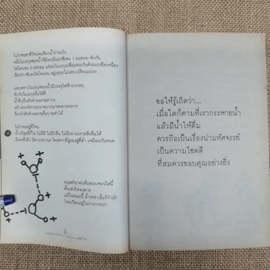 Water น้ำของวิเศษสามสถานะบนดาวเคราะห์สีน้ำเงิน - นิรมล มูนจินดา รูปที่ 10
