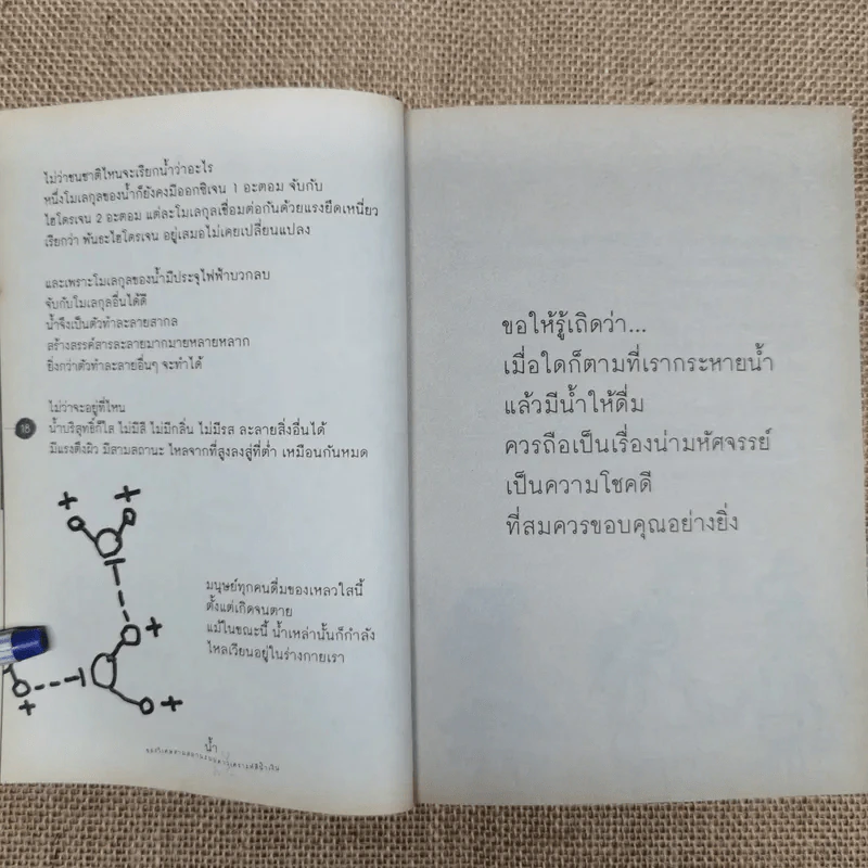 Water น้ำของวิเศษสามสถานะบนดาวเคราะห์สีน้ำเงิน - นิรมล มูนจินดา รูปที่ 10
