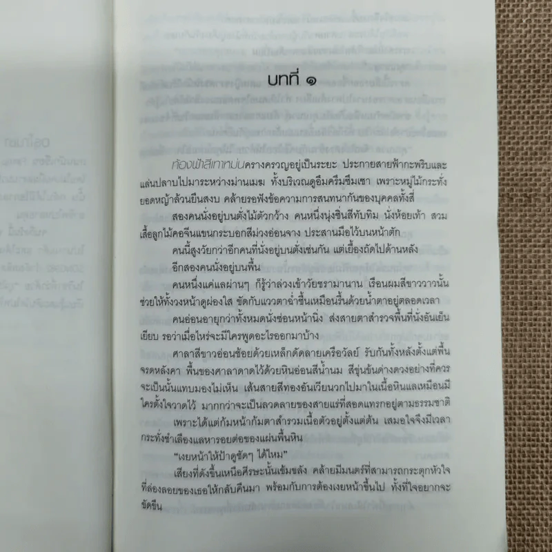 ลีลาวดีลีลา - อรุโณชา รูปที่ 8