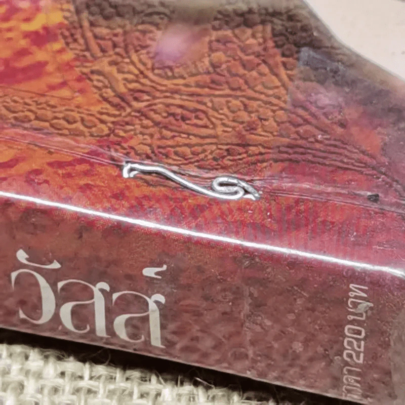 แซซ เล่ม 2 - วัสส์ รูปที่ 5