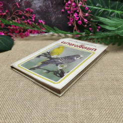 ตำราเลี้ยงและผสมพันธุ์นกหงส์หยก (Budgerigars) รูปที่ 3