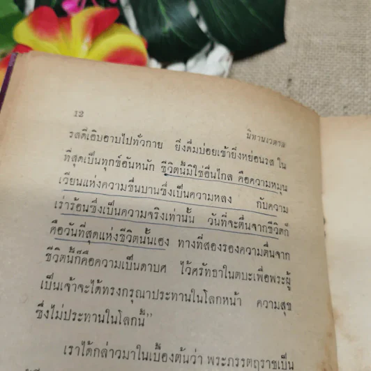 นิทานเวตาล - กรมหมื่นพิทยาลงกรณ์ รูปที่ 11