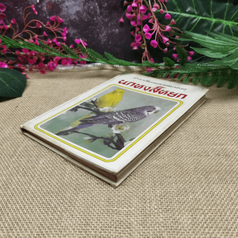 ตำราเลี้ยงและผสมพันธุ์นกหงส์หยก (Budgerigars) รูปที่ 3