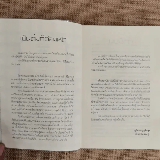 หัดเยอรมัน Munich Travel Book - ใบพัด รูปที่ 6