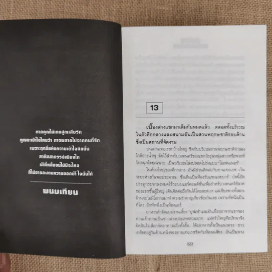 รัศมีแข 2 เล่มจบ - พนมเทียน รูปที่ 8