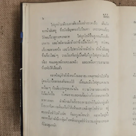 ไม้ป่า - กฤษณา อโศกสิน รูปที่ 7