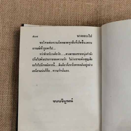 นางกลางไฟ - ชลาลัย รูปที่ 8