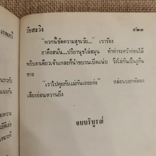 วัยสะวิง - เทพ เทวี รูปที่ 8