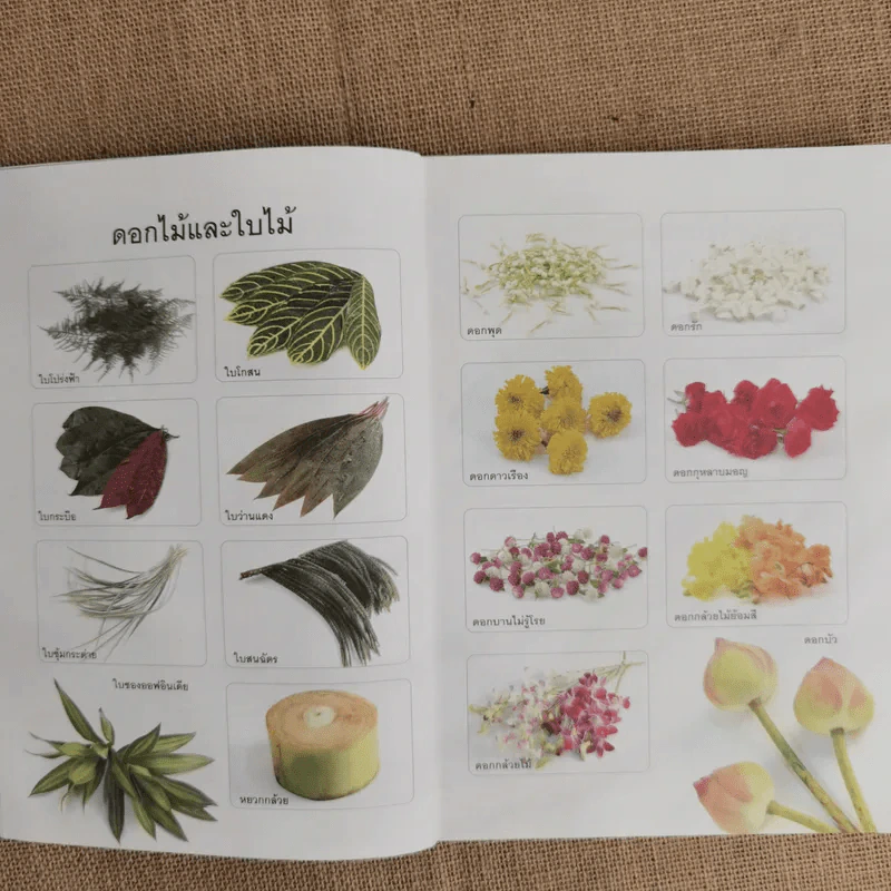 ศิลปะประดิษฐ์และตกแต่งกระทง สืบสานงานศิลป์ประเพณีไทย - บุษกร เข่งเจริญ รูปที่ 9