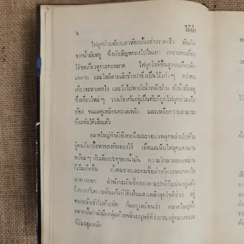 ไม้ป่า - กฤษณา อโศกสิน รูปที่ 7