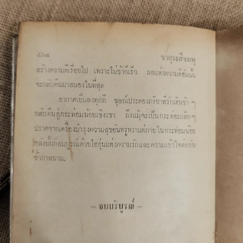 ซากุระสีชมพู - ชูวงศ์ ฉายะจินดา รูปที่ 8