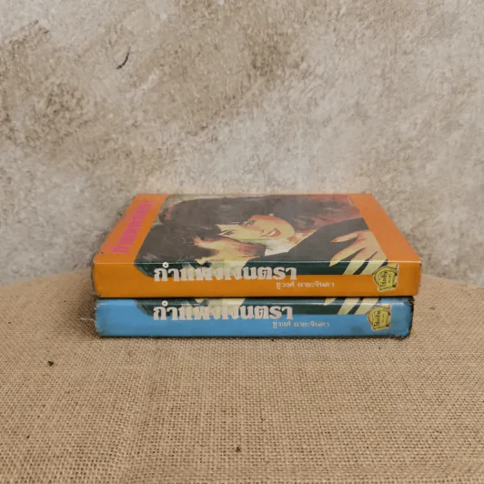 กำแพงเงินตรา 2 เล่มจบ - ชูวงศ์ ฉายะจินดา รูปที่ 2
