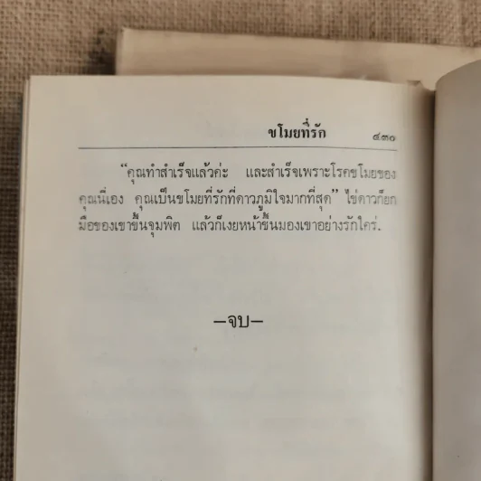 ขโมยที่รัก 2 เล่มจบ - กาญจนา นาคนันทน์ รูปที่ 11