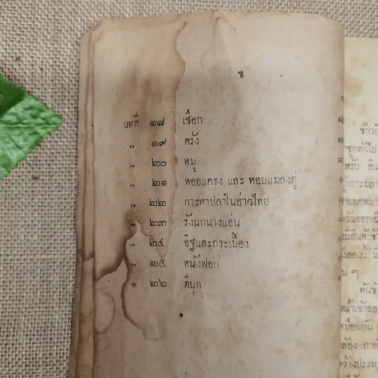แบบเรียนของกระทรวงศึกษาธิการ หนังสืออ่านภูมิศาสตร์เรื่องอุตสาหกรรมภายในประเทศ รูปที่ 8