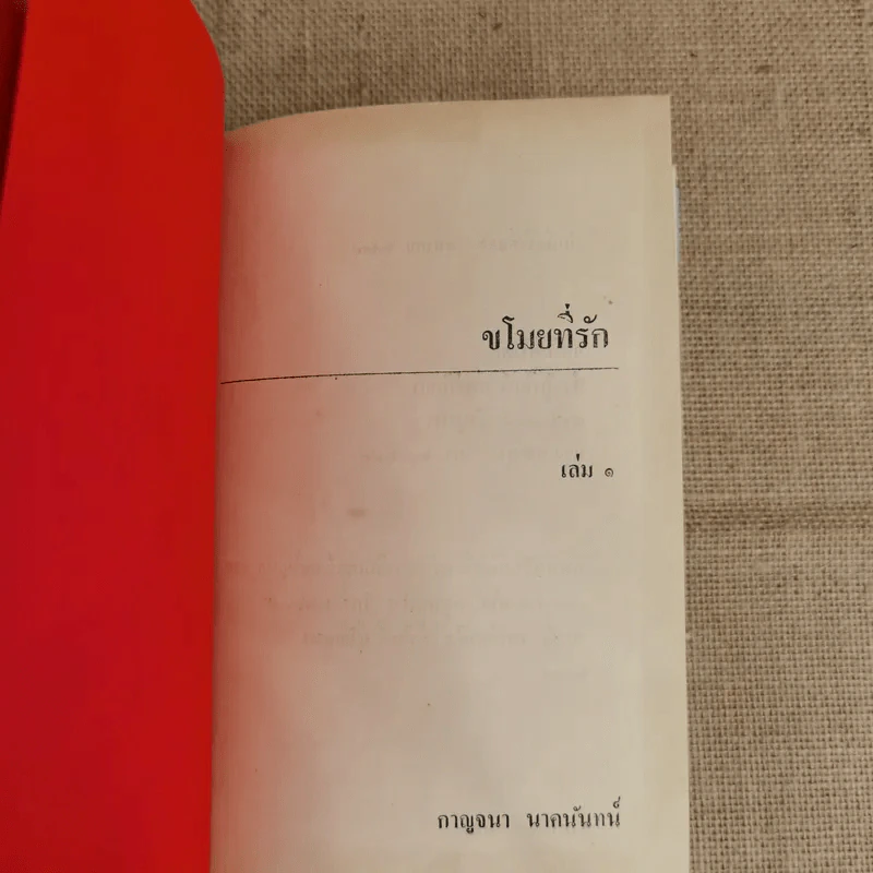 ขโมยที่รัก 2 เล่มจบ - กาญจนา นาคนันทน์ รูปที่ 5