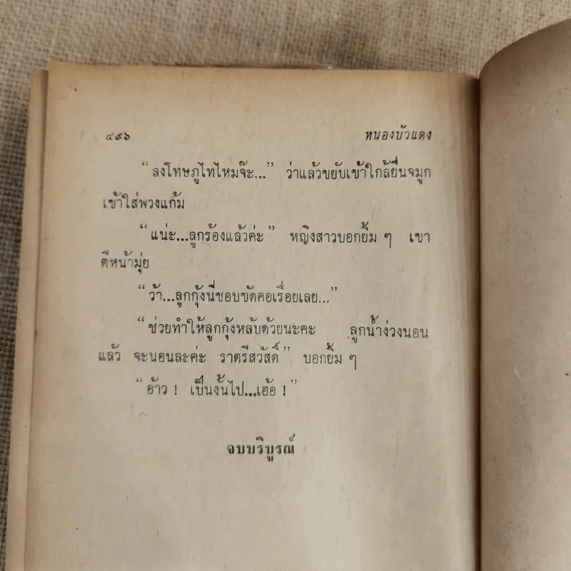 หนองบัวแดง 2 เล่มจบ - ปณิดา รูปที่ 9