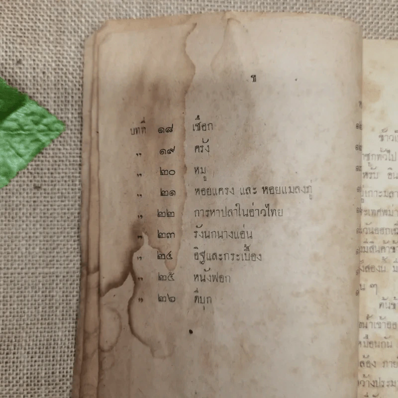 แบบเรียนของกระทรวงศึกษาธิการ หนังสืออ่านภูมิศาสตร์เรื่องอุตสาหกรรมภายในประเทศ รูปที่ 8
