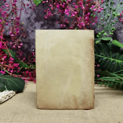 ปฏิมากรรมในทางโบราณคดีโดยย่อ ร่วมนิทรรศการประกวดพระเครื่องและเหรียญ 50 ประเภท ในวันสงกรานต์ รูปที่ 4