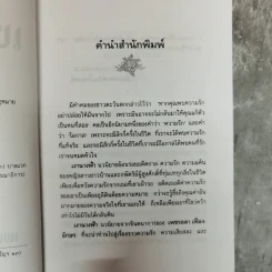 เงานางฟ้า - เพชรลดา เฟื่องอักษร รูปที่ 8