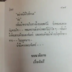 โนรี - อิงอร รูปที่ 8