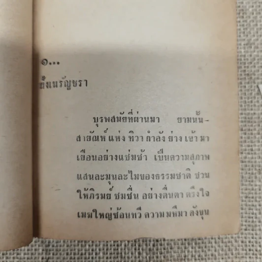 ศาสนวันประพัฒน์ ตรีณรงค์ รูปที่ 11