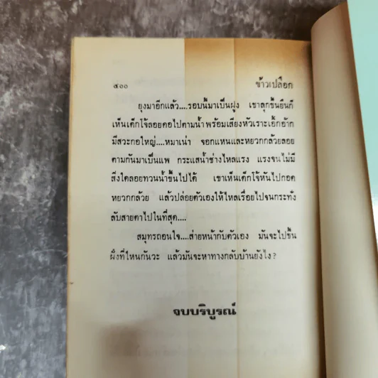 ข้าวเปลือก 2 เล่มจบ - เพชรน้ำค้าง รูปที่ 8
