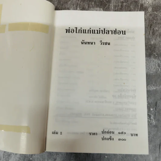 พ่อไก่แก่แม่ปลาช่อน 2 เล่มจบ - นันทนา วีระชน รูปที่ 6