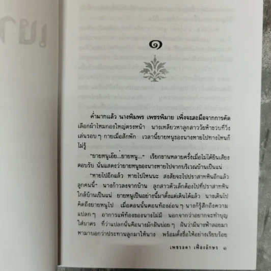 เงานางฟ้า - เพชรลดา เฟื่องอักษร รูปที่ 9