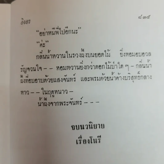 โนรี - อิงอร รูปที่ 8