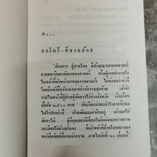 โนรี - อิงอร รูปที่ 7