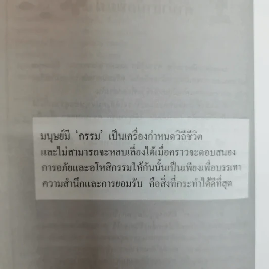 ชมพู่ม่าเหมี่ยว - โสภี พรรณราย รูปที่ 8